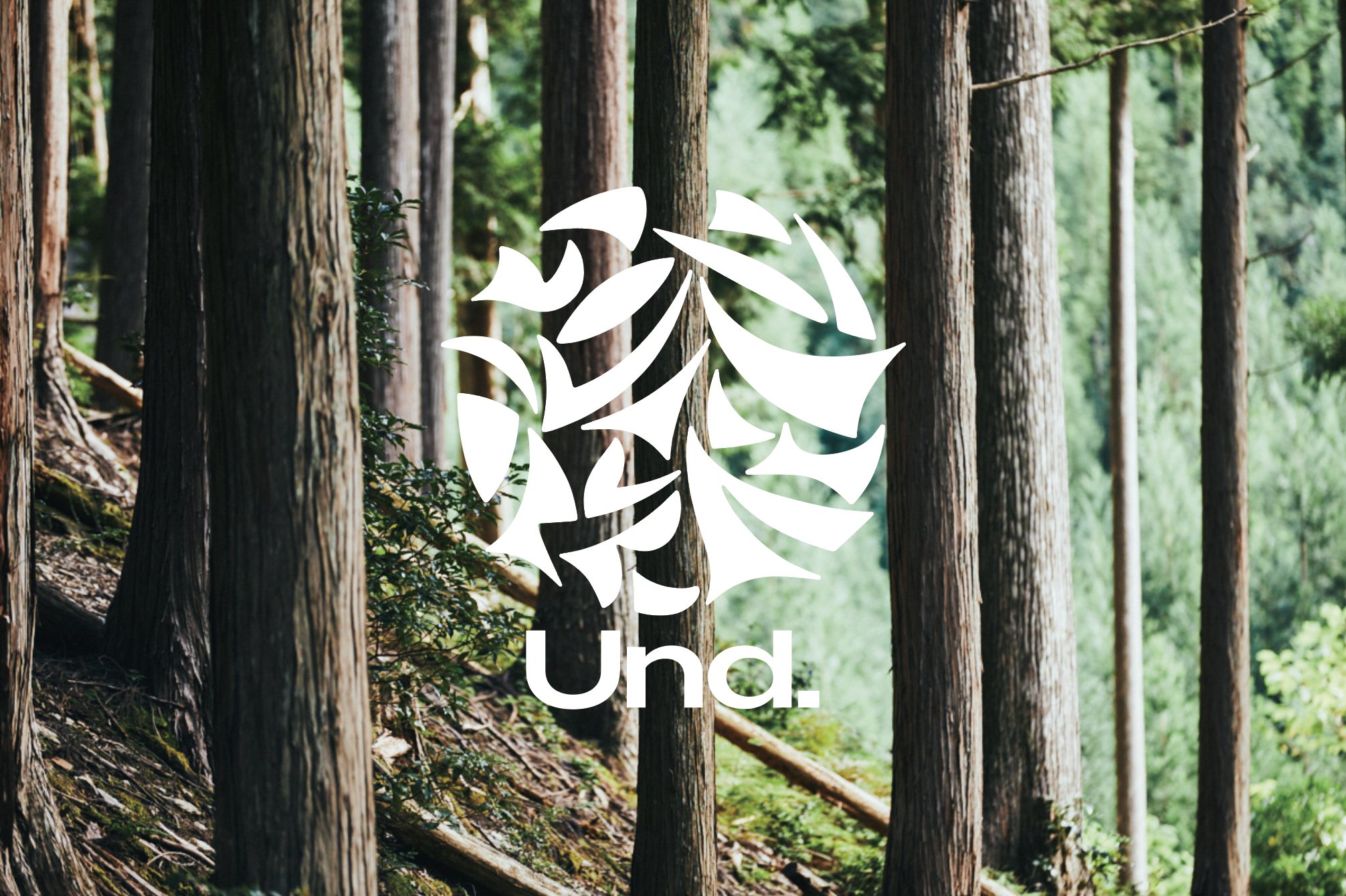 漆を繋ぐ新たな拠点「Und.」4.20sat OPEN — うるしのいっぽ 漆を繋ぐ新たな拠点「Und.」4.20sat OPEN — うるしのいっぽ